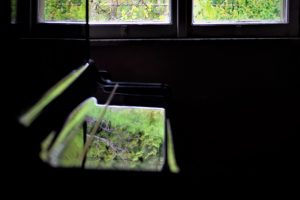 _DSC1410-thumb