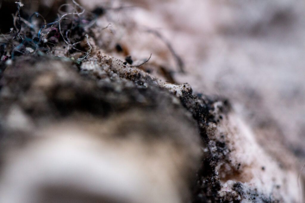 11022026-IMG_8923
